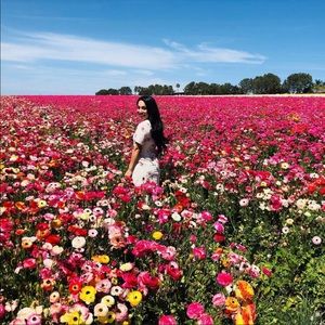 Meet your Posher, Mandi